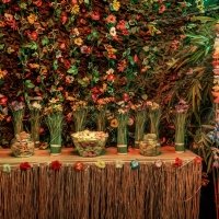 Swingsteren 2026 - Photos - Acanthus