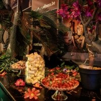 Swingsteren 2026 - Photos - Acanthus