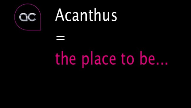 Voor wie - Acanthus