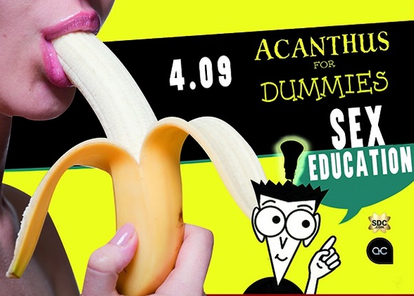 Carnaval - Evenements - Acanthus Carnaval - Evenements - Acanthus