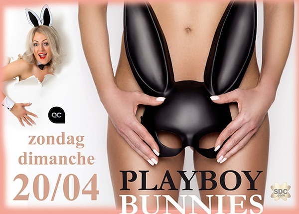 Acanthus For Dummies    Sex Education    - Events - Acanthus
